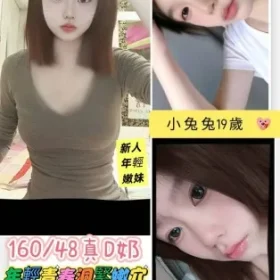 台南定點茶-小兔兔