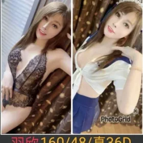 南投定點茶-羽欣