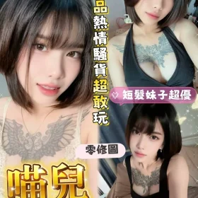 台南定點茶-喵兒